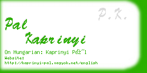 pal kaprinyi business card